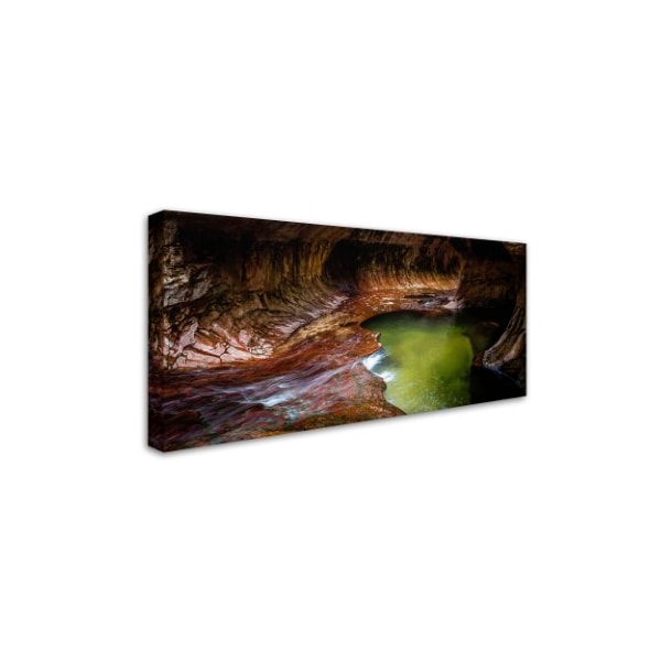 Dan Ballard 'Underground Pond' Canvas Art,10x19